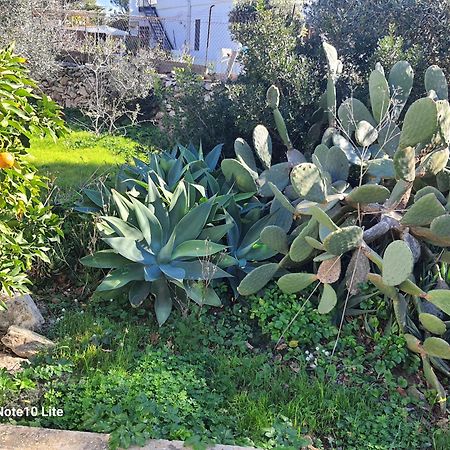 Sogni Nel Blu Favignana Βίλα Εξωτερικό φωτογραφία