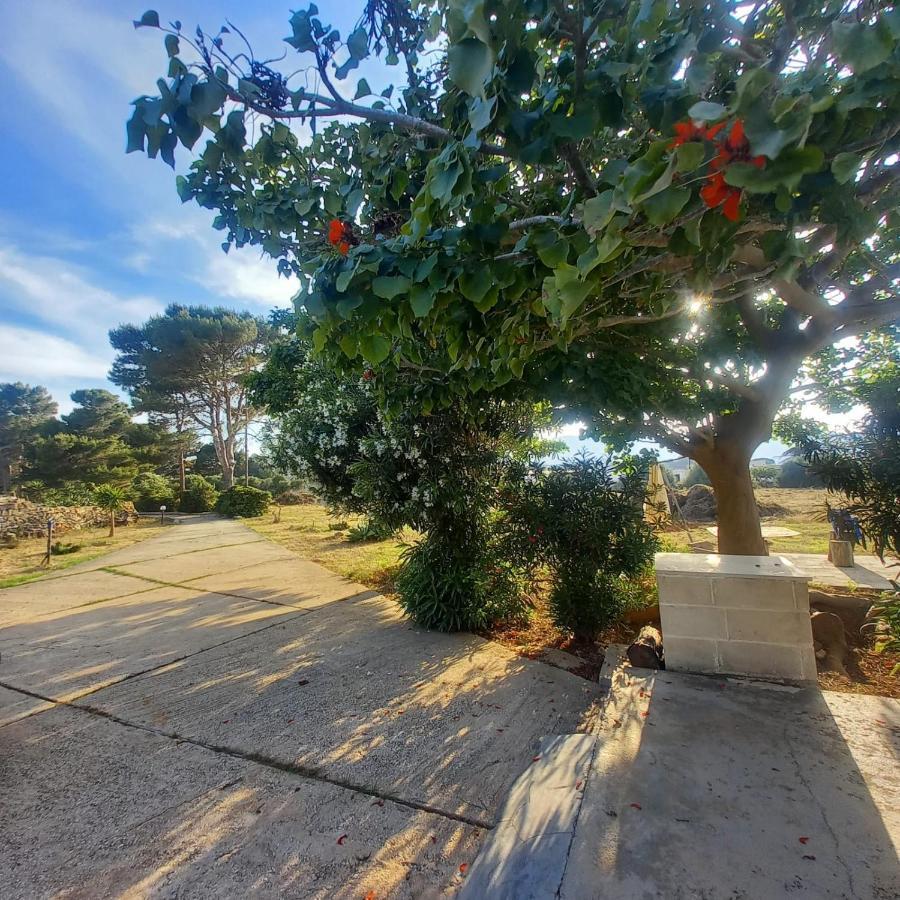 Sogni Nel Blu Favignana Βίλα Εξωτερικό φωτογραφία