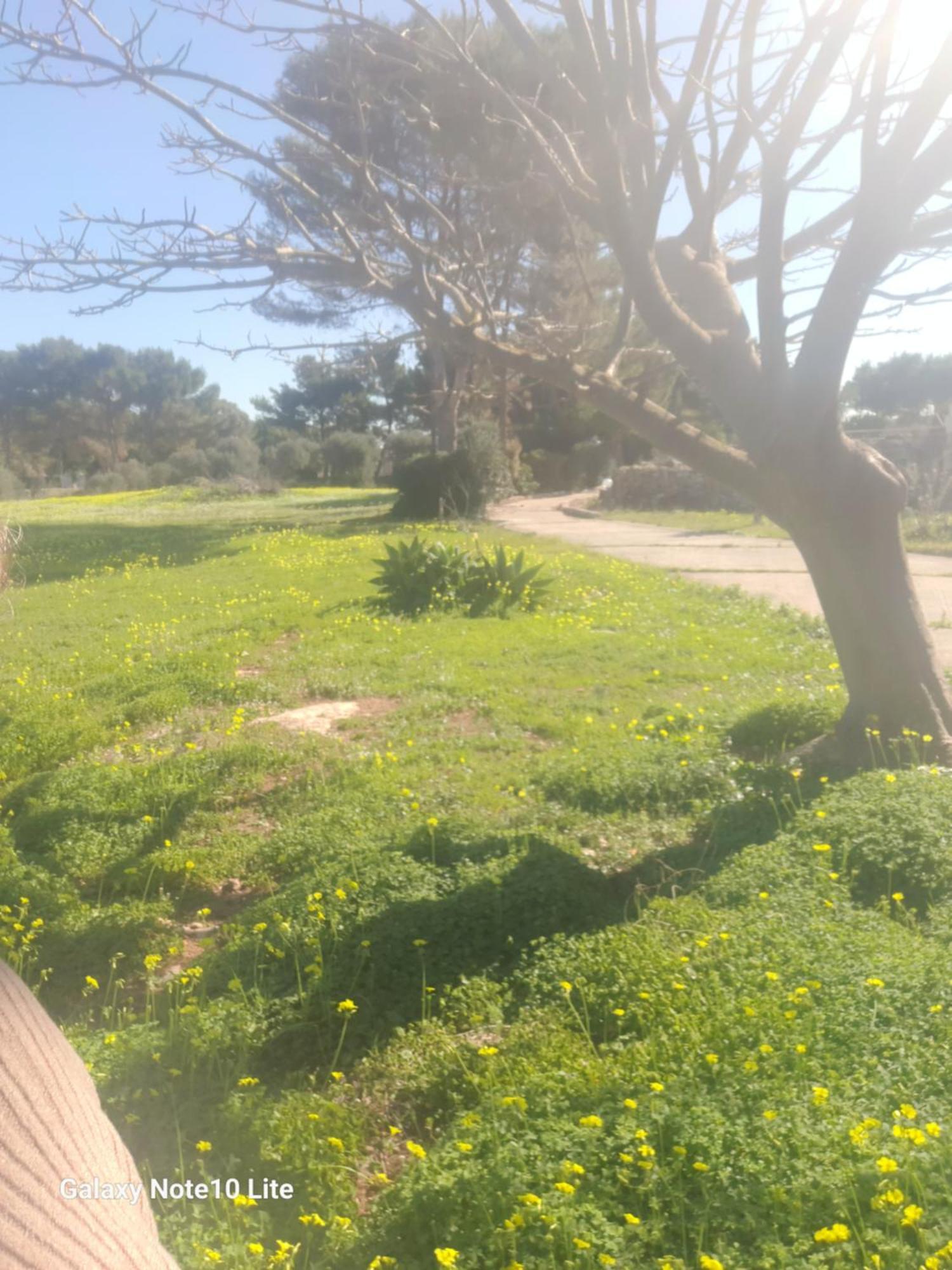 Sogni Nel Blu Favignana Βίλα Εξωτερικό φωτογραφία