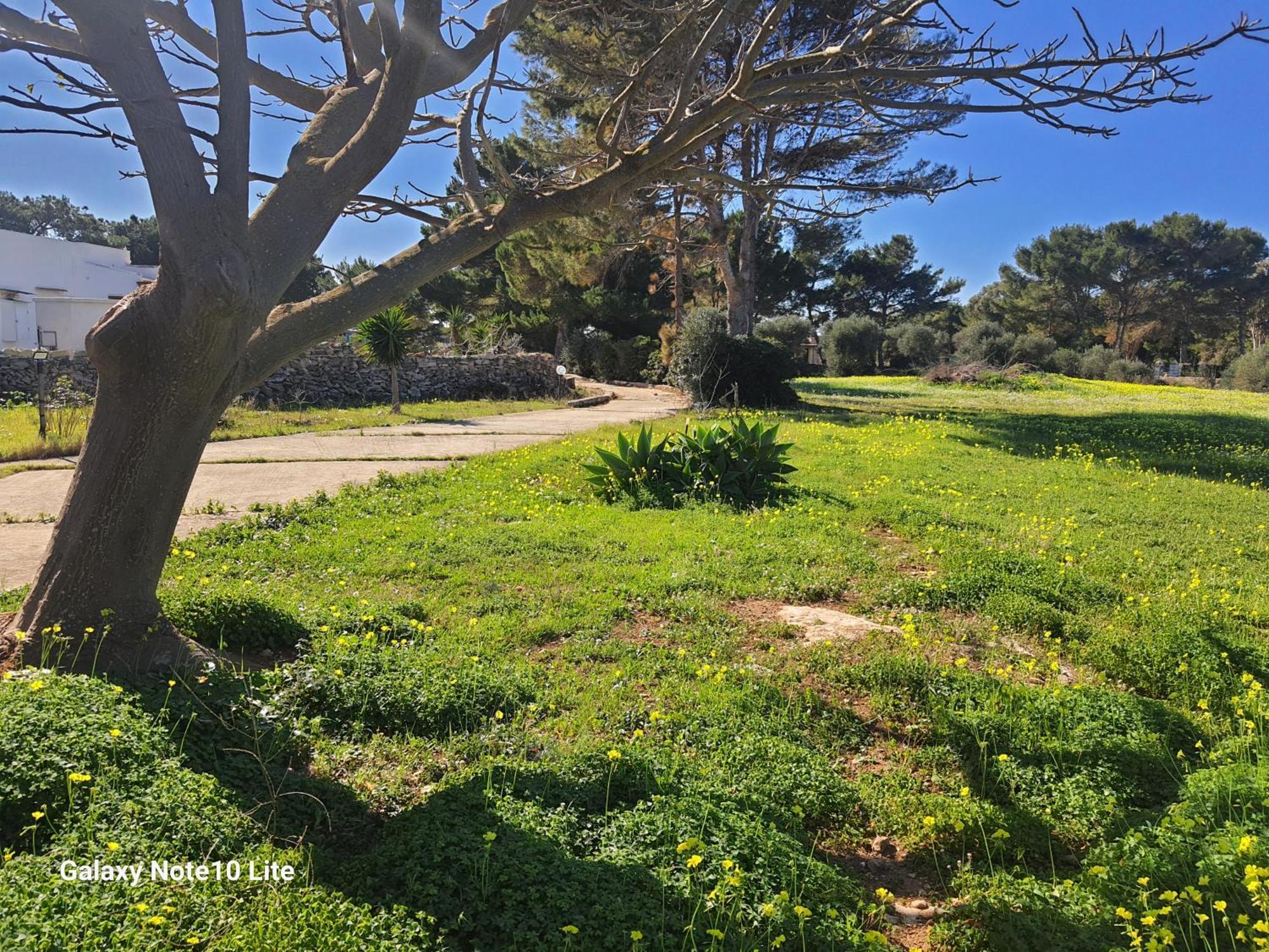Sogni Nel Blu Favignana Βίλα Εξωτερικό φωτογραφία