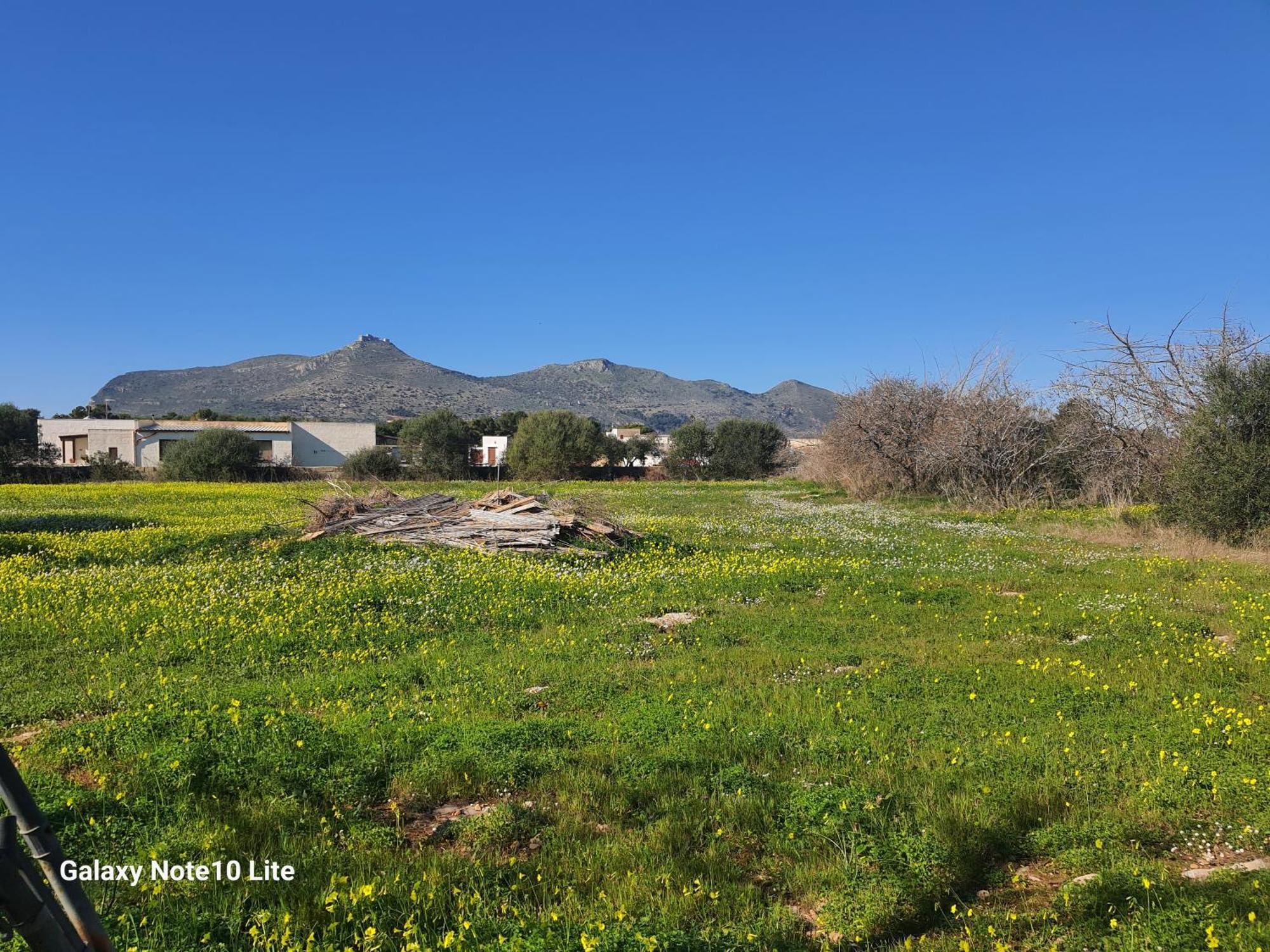 Sogni Nel Blu Favignana Βίλα Εξωτερικό φωτογραφία