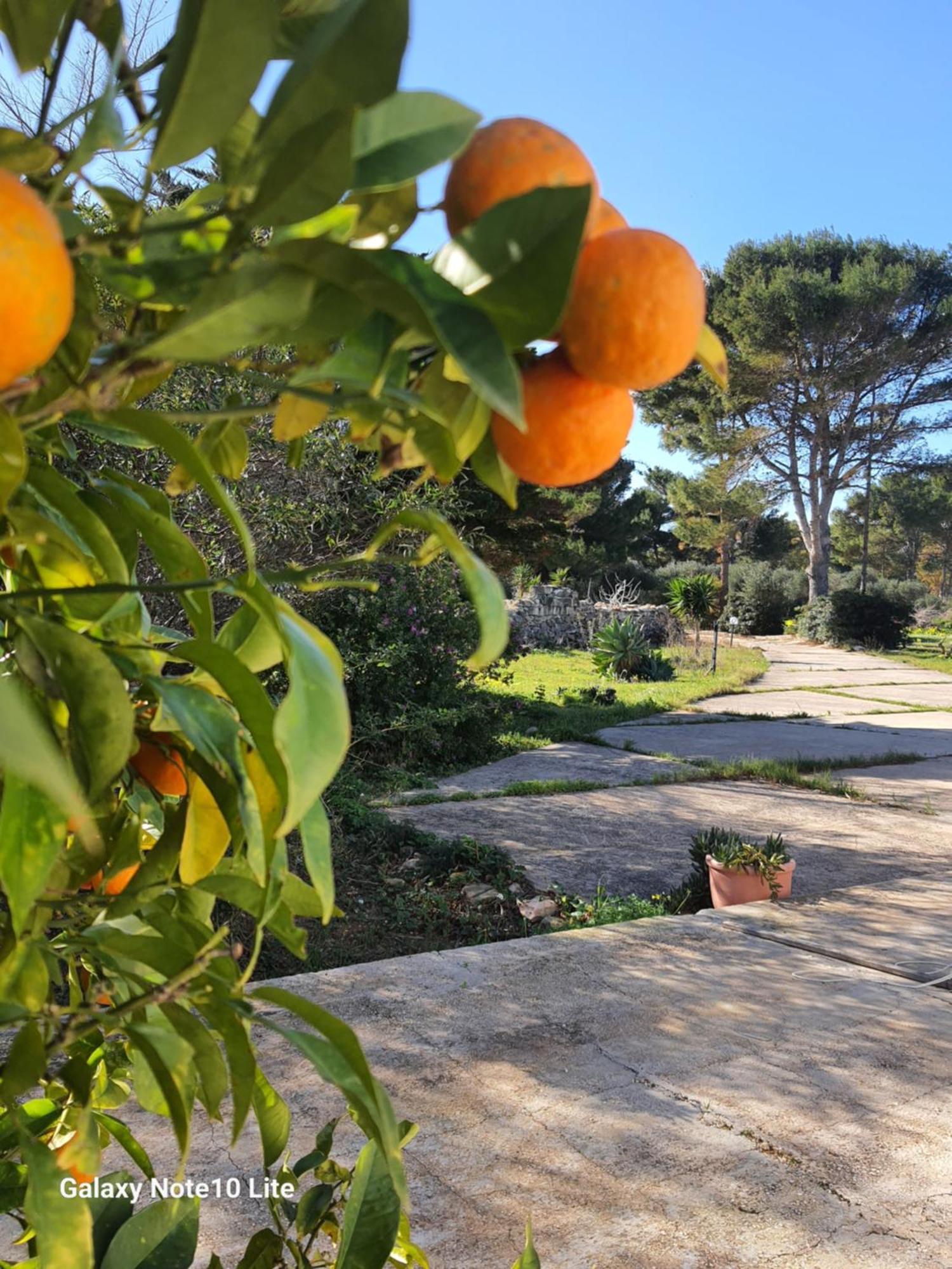 Sogni Nel Blu Favignana Βίλα Εξωτερικό φωτογραφία